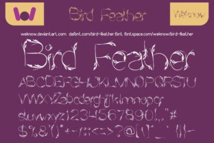 Bird Feather: A Digital Designer’s Review of this Display Font