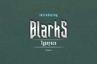 Blarks: A Display Font Built for Campaigns